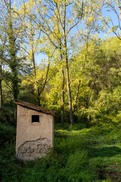 Penceresi olan küçük bir bina çimenli bir arazide yer alır. Bina ağaçlarla çevrili ve gökyüzü temiz.