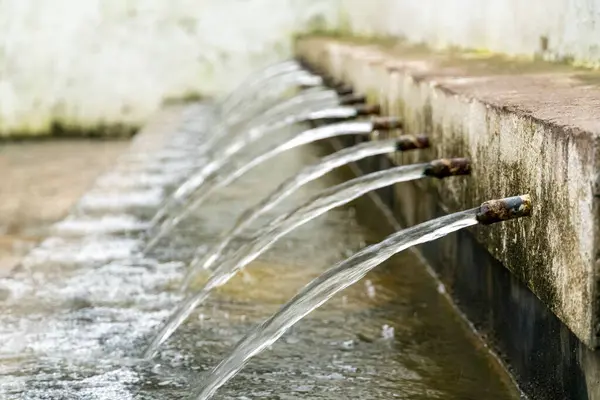 Su damlatan bir dizi musluğu olan bir duvar. Su temiz ve musluklar paslı.
