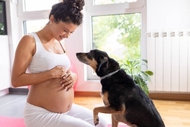 Hamile kadın yoga minderinde oturuyor, egzersizden sonra dinleniyor ve evde köpekle oynuyor.