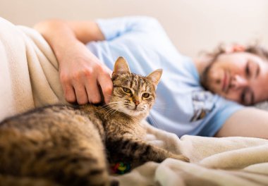 Young man cuddling cute tabby cat in bed
