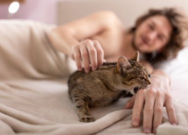 Cute small tabby cat biting owner on bed