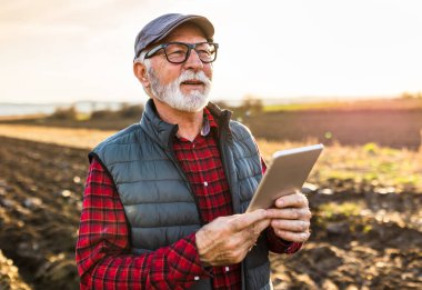 Excited senior farmer smiling and holding tablet in field in autumn time