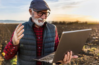 Excited senior farmer smiling and working on laptop in field in autumn time