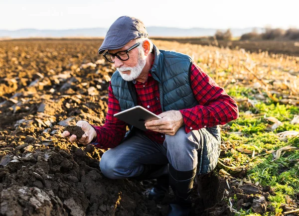Mature farmer with tablet crouching in field and checking soil quality in autumn time