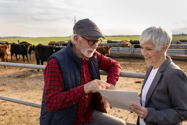 Reife Bäuerin Gespräch Mit Finanzberaterin Auf Rinderfarm Über Kredit Und — Stockfoto