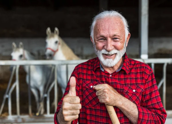 Mature farmer showing thumb up after cleaning barn, lipizzaners in background