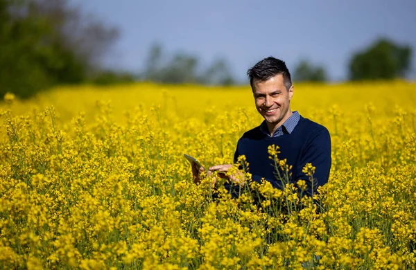 Zufriedener Gutaussehender Bauer Mit Tablette Reifen Rapsfeld Mit Gelben Blüten Stockbild