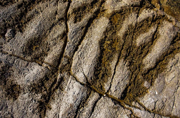 海岸缝隙中苔藓湿石纹图像摘要 — 图库照片