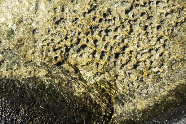 Nahaufnahme Von Wasser Das Stein Meeresküste Berührt — Stockfoto
