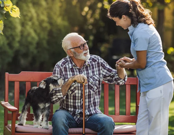 年轻的护士牵着老人的手 把木棍放在公园的长椅上 图库照片