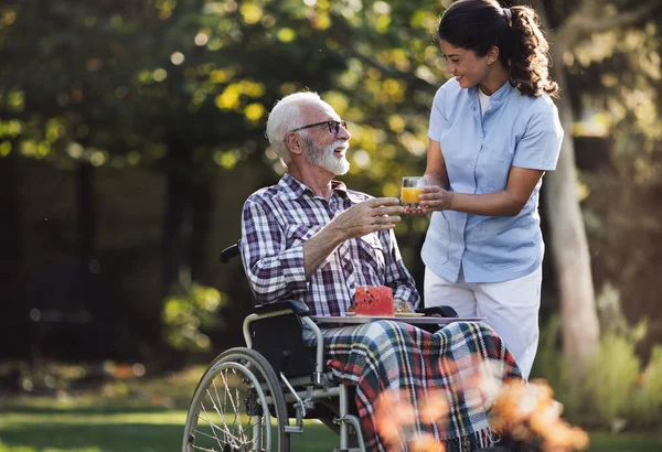 stock image Young woman caregiver giving juice and food to senior man in wheelchair in park