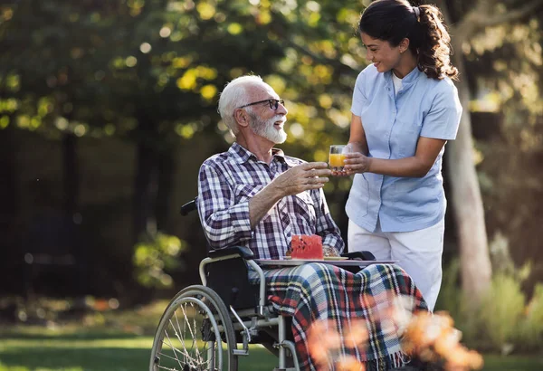 在公园为坐在轮椅上的老年人提供果汁和食物的年轻女性护理人员 免版税图库照片