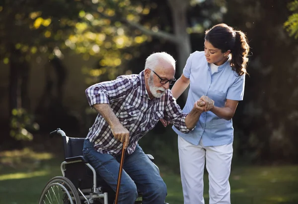 Junge Pflegerin Hilft Senioren Beim Aufstehen Aus Rollstuhl Park lizenzfreie Stockbilder