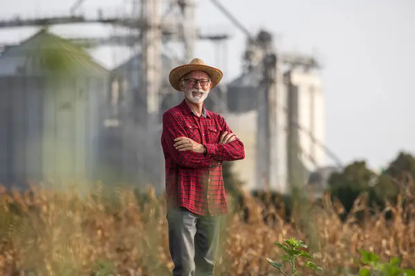 Портрет Старшего Фермера Соломенной Шляпе Стоящего Перед Зернохранилищами Кукурузном Поле Лицензионные Стоковые Фото