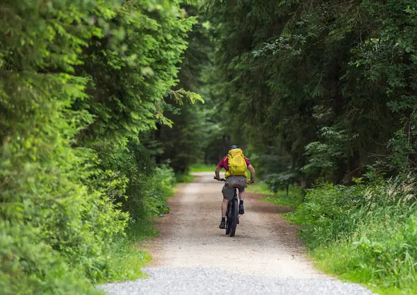 Yaz mevsiminde ormanda bisiklet süren yaşlı bir adamın dikiz manzarası. Sağlıklı yaşam tarzı açık hava konsepti