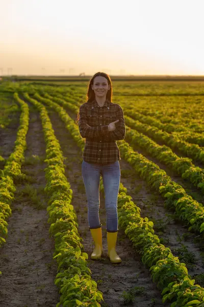 Young woman farmer with crossed arms standing in soybean field in summer time