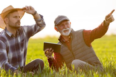 İki çiftçi elinde tabletle yeşil buğday tarlasında çömelmiş baharda tartışıyorlar.