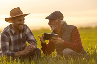 İki çiftçi elinde tabletle yeşil buğday tarlasında çömelmiş baharda tartışıyorlar.