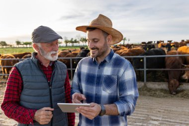 Two farmers, father and son, looking at tablet on bovine ranch clipart