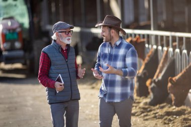 İnek ahırının önünde konuşan iki gülen çiftçi ve arka plandaki traktör sığır çiftliğinde.