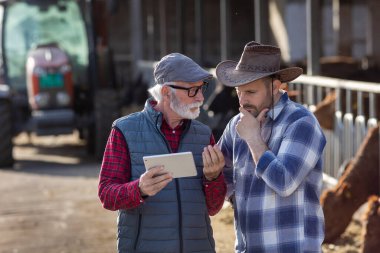 İki çiftçi sığır çiftliğinde ahırın önündeki tablete ve traktöre bakıyor.