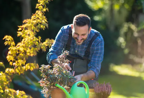 Yakışıklı olgun bir adam, sonbaharda bahçedeki saksılarda saksıdan keyif alıyor. 