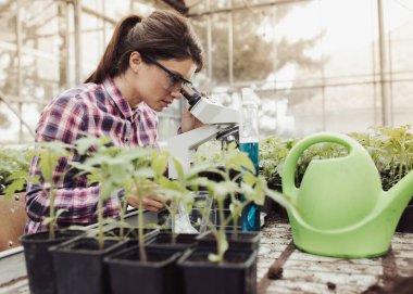 Mikroskopla bakan genç ve güzel bir çiftçi kadın. Etrafı seradaki saksılarla çevrili. Bitki koruması ve üretkenlik geliştirme kavramı