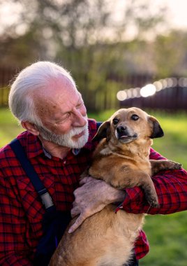 Sakallı, neşeli yaşlı bir adam evin arka bahçesinde kollarında küçük sevimli bir köpek tutuyor. Arka planda yeşil çimenler ve ağaçlarla dolu. Yeni evcil hayvan, terk edilmiş hayvanlar için barınaktan alınır