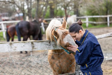 Atları nazikçe kucaklayan genç çiftlik işçisi insanlar ve hayvanlar arasındaki dostluğu gözler önüne seriyor.
