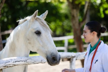 Kadın veteriner, beyaz atla etkileşime girer, yeşil ve ahşap çitlerle çevrili doğal ortamda kafasını nazikçe okşar.
