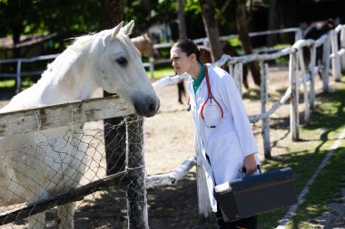 Beyaz atın yanında duran bir kadın. Çiftlikte. Atmosfer sakin ve davetkar, hayvanlarla gösterişli bağ