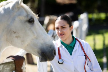 Kadın veteriner, beyaz atla etkileşime girer, yeşil ve ahşap çitlerle çevrili doğal ortamda kafasını nazikçe okşar.