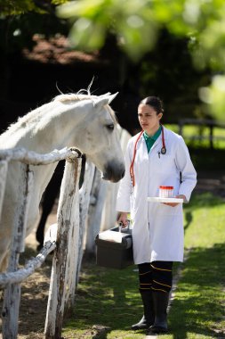 Kadın veteriner ahırda atların yanında yürürken tıbbi malzeme ve tepsi taşır. Ortam sakin ve hayvan bakımına odaklı..