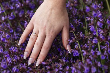 Kadın çiçek açan bir tarlada, parlak güneş ışığı altında mor çiçeklerle çevrili adaçayı çiçeklerine hafifçe dokunuyor, doğanın güzelliğinin tadını çıkarıyor..