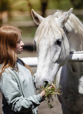 Güzel, genç, kızıl saçlı at beslerken ona nazikçe bakıyor.