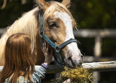 Kameradan uzak duran genç kızıl saçlı yemek vermek ve bir atı nazikçe okşamak için.