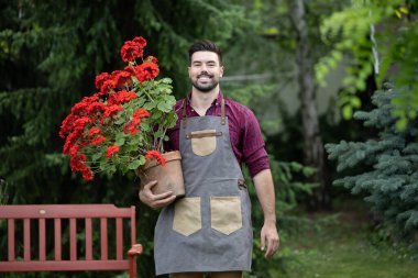 Erkek bahçıvan elinde kocaman kırmızı sardunyalar tutarken gülümsüyor. Önlük giymiş, yemyeşil bahçesinde dikiliyor.