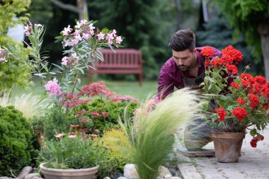 İnsan, saksılarda parlak kırmızı çiçekleri dikkatlice düzenlerken aynı zamanda çeşitli bitkilerle dolu huzurlu bir bahçede huzurlu bir öğleden sonra geçiriyor.