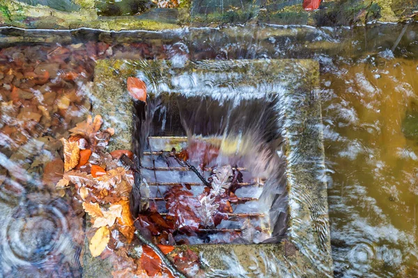 Kurumuş Yapraklar Sonbaharda Kanalları Selleri Tıkıyor — Stok fotoğraf