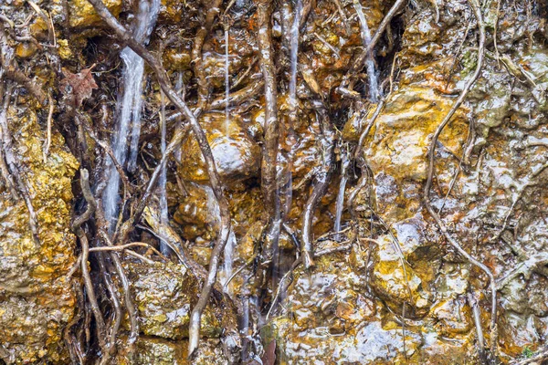 Druppelt Water Stenen Prachtige Achtergrond Van Een Water Natte Stenen — Stockfoto