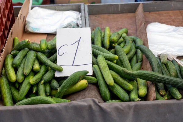 希腊锡托尼亚尼基蒂农民市场的绿色黄瓜 有选择的重点 — 图库照片