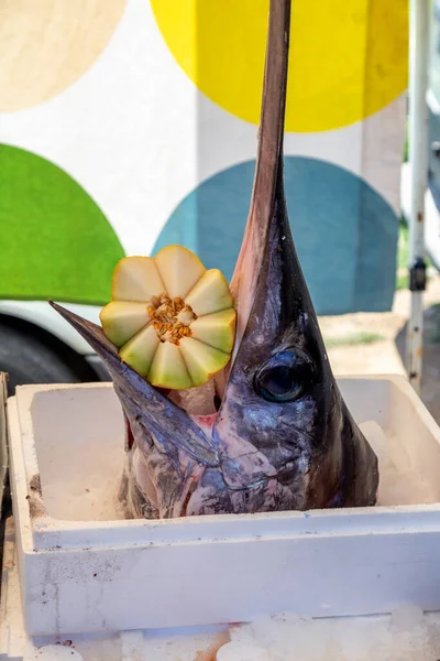 Глава Рыба Меч Фермерском Рынке Никити Ситония Греция Селективный Фокус — стоковое фото