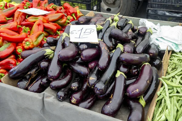 Sale Eggplants Market Nikiti Sithonia Greece Selective Focus Fresh Organic — Stock Photo, Image