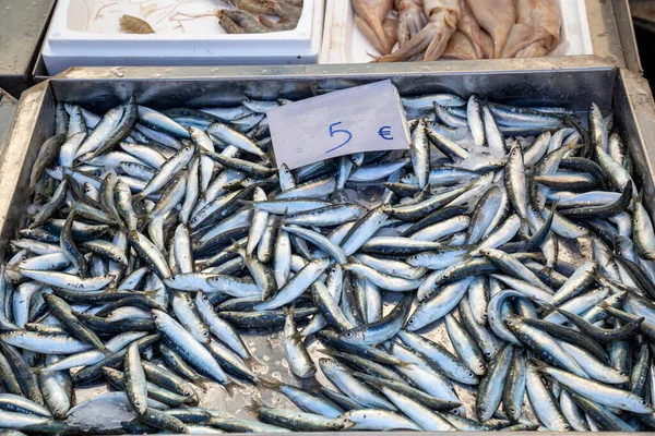 沙丁鱼和其他海鲜新鲜陈列在希腊锡托尼亚尼基蒂的农贸市场上 有选择的重点 图库照片