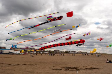 Colorful kites soar against a dramatic sky, symbolizing freedom, joy, and boundless possibilities.