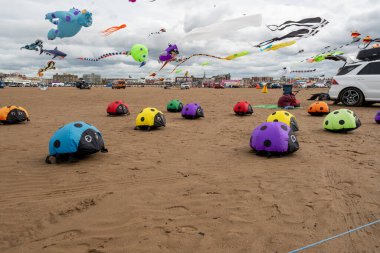 A vibrant beach scene with colorful kites and ladybug inflatables, evoking fun, celebration, and outdoor activities.
