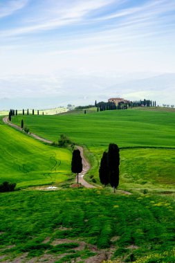 Toskana, İtalya-22 Nisan 2024: Sarmal, selvi kaplı bir patika Tuscany 'nin canlı yeşil tepeleri boyunca uzanır, mavi gökyüzünün altındaki uzak bir çiftlik evine götürür..