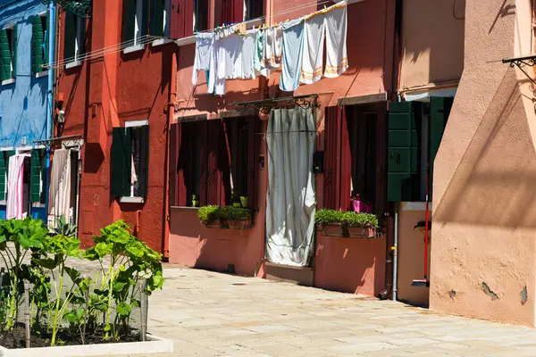 stock image Burano, Italy-April 25, 2024: Colorful houses with hanging laundry and green plants on a sunny day in Burano, Italy.