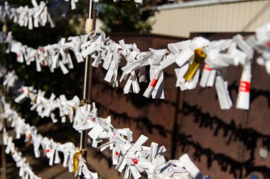 Japonya, 9 Şubat 2025: Bir Japon tapınağında ipe bağlı omikuji servet kağıtları.