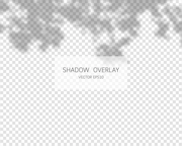 阴影叠加效果 在透明的背景下孤立的自然阴影 矢量说明 — 图库矢量图片#